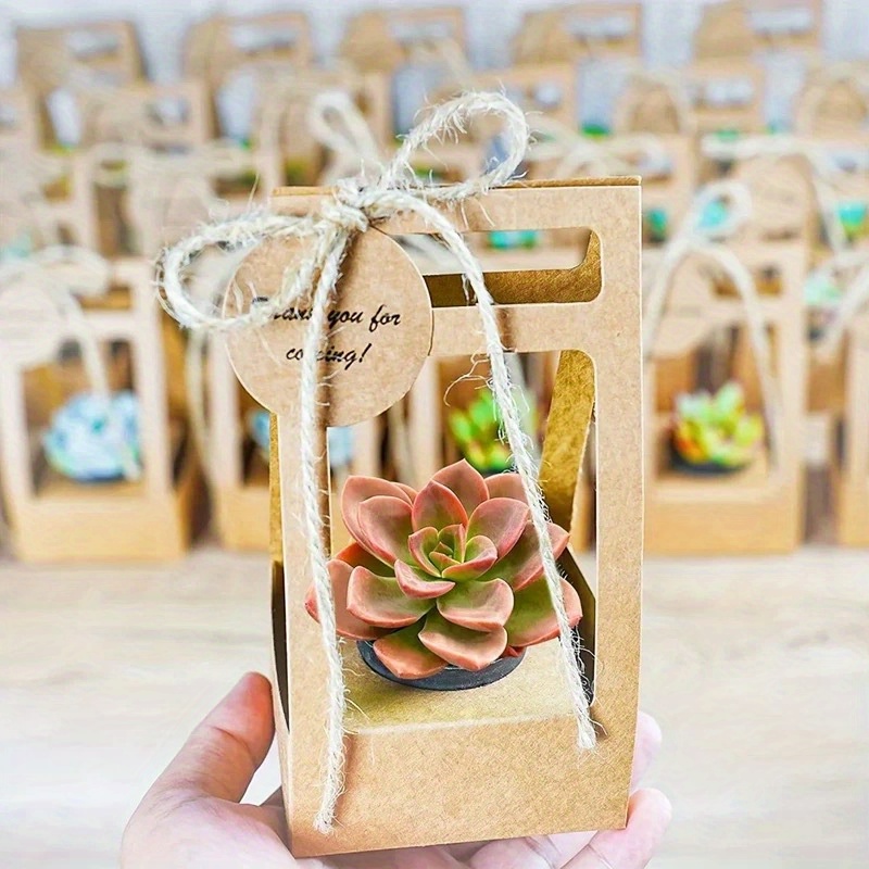 10 Set Kantong Hadiah Sukulen  - Flower Wrap Kraft ulasan dan harga